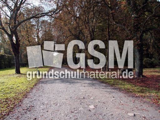 B-Herbststimmung 023.jpg